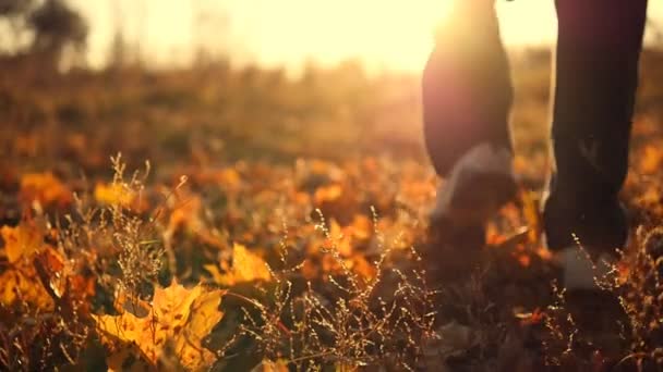 Hombre corriendo en el parque de otoño pisando hojas secas en cámara lenta. Pies masculinos corriendo hacia la naturaleza. Un tipo haciendo ejercicio al aire libre. Hermoso paisaje fondo — Vídeos de Stock