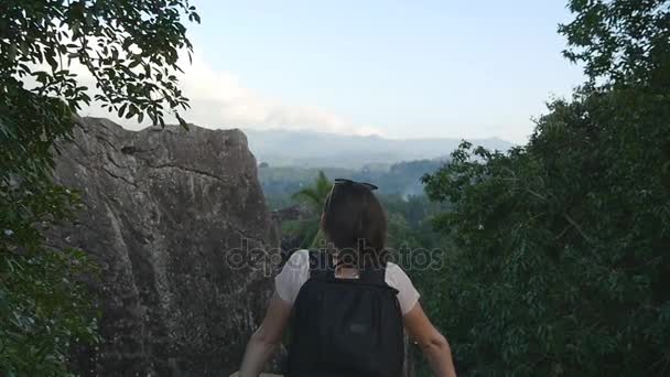 Mladé samice tramp s batohem dosahuje až nahoru na horu a zvedl ruce. Žena turistické stojící na okraji krásného kaňonu, vítězně outstretching ruce nahoru. Pohled zezadu Zpomalený pohyb zpět — Stock video