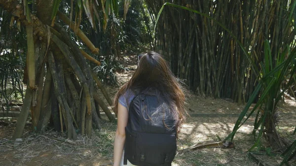 Fille heureuse avec sac à dos marche le long de la jungle verte et avoir du plaisir. Jeune belle femme qui va à la forêt tropicale. Concept de liberté de voyager. Vue arrière arrière — Photo