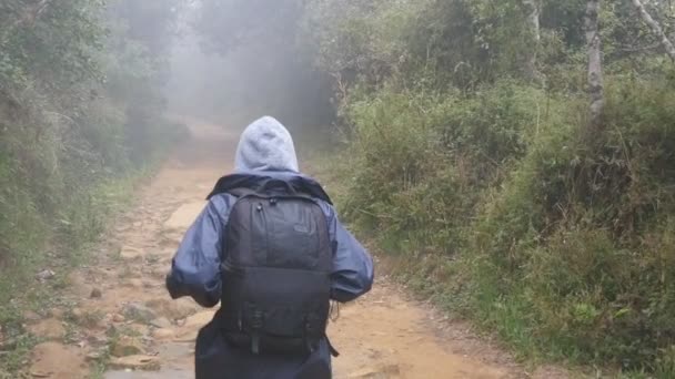 Hiking woman with backpack running in tropical wet forest. Young girl in raincoat jogging on wood trail during travel. Follow to female tourist stepping on the jungle path. Slow motion Rear back view — Stock Video