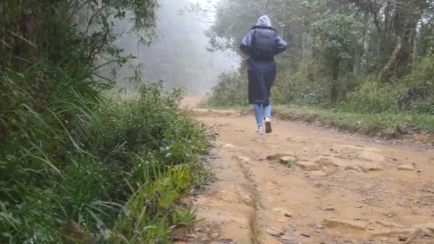Jeune fille en imperméable jogging sur le sentier en bois pendant le voyage. Femme de randonnée avec sac à dos fonctionnant dans la forêt tropicale humide. Touriste femelle marchant sur le chemin de la jungle. Ralenti Vue arrière arrière — Video
