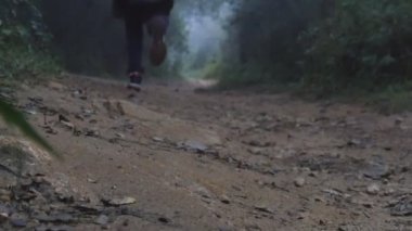 Yağmurluk ahşap izi seyahat sırasında koşu içinde genç bir adam. Tropikal ıslak ormanda çalışan sırt çantası ile adam hiking. Erkek turist orman yolunda adım. Ağır çekim arka geri görüntülemek