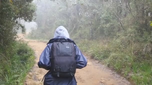 Pěší turistika žena s batohem v tropické vlhké lesní. Mladá dívka v pláštěnka zaběhat na dřevo stezka během cestování. Sledujte na ženské turistické šlápne na cestě džunglí. Pohled zezadu Zpomalený pohyb zpět — Stock video