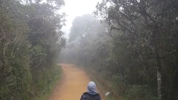 Young girl in raincoat going on wood trail during travel. Hiking woman with backpack walking in tropical wet forest. Follow to female tourist stepping on the jungle path. Slow motion Rear back view — Stock Video