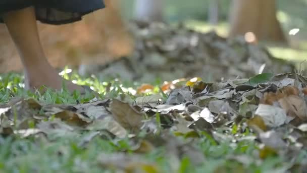 Женщина-индийский уборщик в парке подметает листья граблями в течение дня. Очистка территории от опавших листьев. Медленное движение — стоковое видео