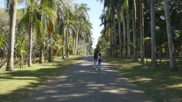 Giovane uomo e donna che vanno lungo esotici vicolo parco, la visualizzazione di palme e fare foto selfie. Coppia indiana che si tiene per mano e cammina nel parco tropicale. Concetto vacanza estiva — Video Stock