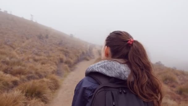 Pěší turistika žena v pláštěnce s batohem procházky v horách během deštivého počasí mlhavé. Mladá dívka šla na kopci stezka během cestování. Sledujte na ženské turistické šlápne na cestě. Detailní pohled zezadu zpět — Stock video