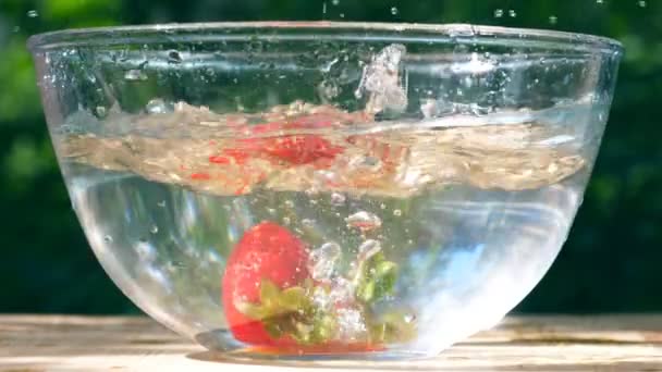 Ώριμα φρέσκες φράουλες που εμπίπτουν στο νερό σε φόντο φύση. Αργή κίνηση, κοντινό πλάνο — Αρχείο Βίντεο