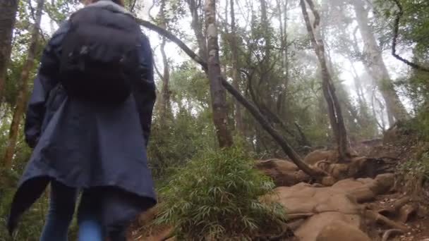 Turist flicka i regnrock med ryggsäck promenerar uppför backen på tropisk skog. Ung kvinna kommer på grön djungel. Kvinna kliva i berget på träet. Resor-konceptet. Tillbaka bakifrån närbild — Stockvideo
