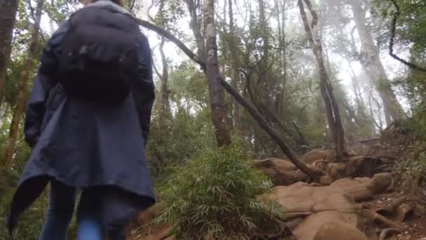 Chica turística en impermeable con mochila está caminando por la colina en el bosque tropical. Mujer joven yendo a la jungla verde. Mujer pisando la montaña en el bosque. Concepto de viaje. Vista trasera trasera Primer plano — Vídeos de Stock