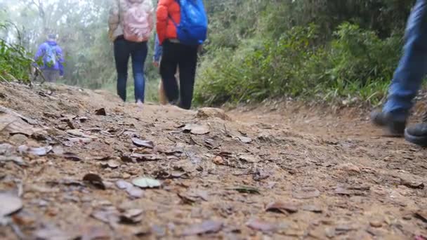 Gruppo di escursionisti multirazziali che camminano lungo il sentiero forestale. Turisti con zaini escursioni a piedi attraverso i boschi in montagna. Angolo di vista basso Close up — Video Stock
