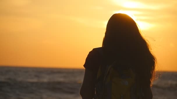 年轻的旅行者的女人站在大洋彼岸看日出。年轻的女游客在日落时享受海滩视图，背包里。女孩名徒步旅行者在旅行或夏天度假。后方的背影 — 图库视频影像
