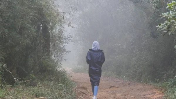 Chica joven en impermeable que va en camino de madera durante el viaje. Mujer senderista caminando en bosque húmedo tropical. Turista femenina pisando el sendero de la selva en la montaña. Vista trasera trasera — Foto de Stock