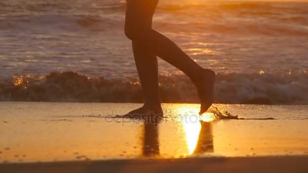Piedi femminili di escursionista turistico a piedi nudi sulla riva al tramonto. Gambe di giovane donna che percorrono la spiaggia dell'oceano durante l'alba. Ragazza che calpesta la sabbia bagnata della costa. Rallentatore Close up — Video Stock