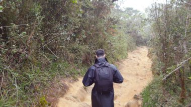 Seyahat sırasında ahşap parkurun gidiş yağmurluk genç adam. Sırt çantası tropikal ıslak ormanda yürüyüş yürüyüş adamla. Erkek turist orman yolunda adım için izleyin. Arka arkadan görünüm