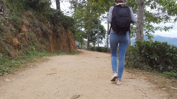 Fiatal nő turisztikai hátizsák séta a nyomvonal-hegység gyönyörű természeti táj a háttérben. Női természetjáró trópusi mount road mentén haladó. Egészséges aktív életmód. Hát hátulnézet — Stock Fotó