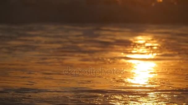 Beautiful golden ocean waves on sunset. Orange sunrise reflected at the sea water. Tide with waves splashes on a windy day at evening. Nature background Close up Slow motion — Stock Video