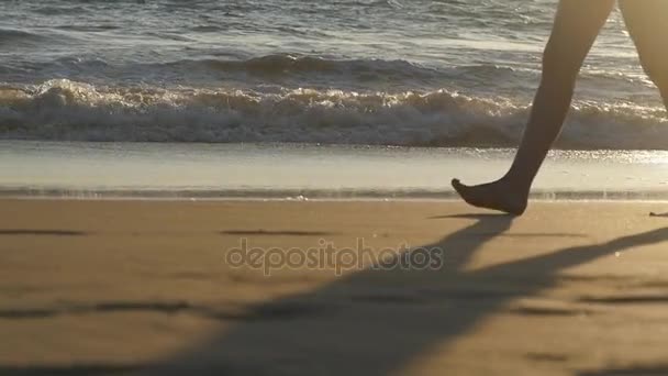 암컷 의발 이 해변에서 황금빛 모래 위를 걷고 있고, 뒤에는 파도가 밀려 있다. 젊은 여자의 다리가 모래 위로 내딛고 있어. 해변에 있는 발정난 소녀. 여름 방학이야. 느린 동작 — 비디오