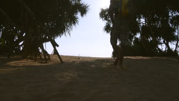 Young man walking with backpack along tropical beach to the ocean. Male hiker going at sandy shore to the sea. Backpacker stepping at shoreline during summer travel. Vacation holiday concept Rear view — Stock Video