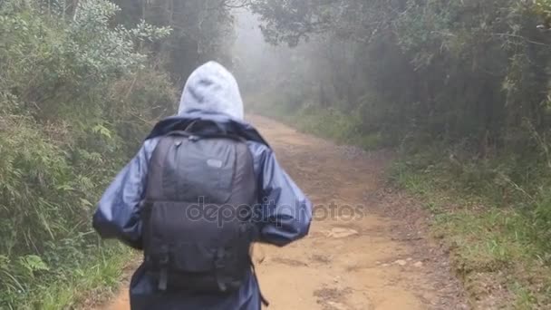 Mulher caminhante com mochila correndo na floresta tropical úmida. Jovem de capa de chuva correndo em trilha de madeira durante a viagem. Siga para turista feminino pisando no caminho da selva. Movimento lento Visão traseira traseira — Vídeo de Stock