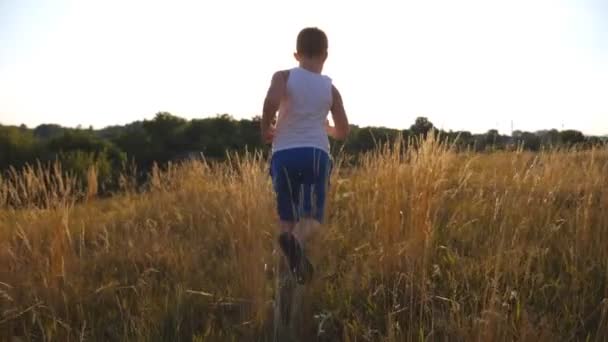 Siguiendo a un chico joven corriendo sobre hierba verde en el campo en un día soleado. Niño corriendo en el césped al aire libre con destello solar. Niño varón que va en la naturaleza en un prado de verano. Vista trasera trasera en cámara lenta — Vídeo de stock