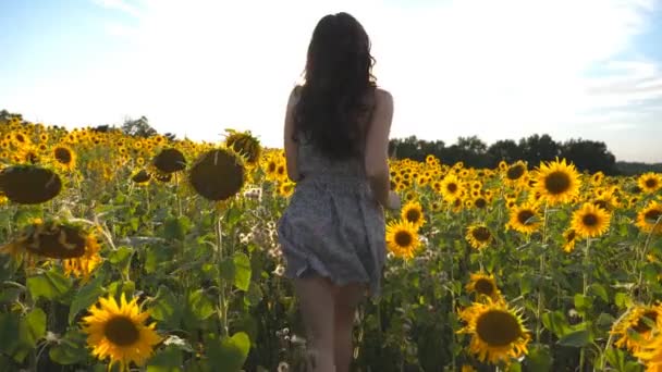 若い女の子の背景に太陽フレアと黄色のひまわり畑で実行されています。ドレスで認識できない女性は、黄色の花の牧草地を通過します。自由の概念は屋外。戻ってスローモーションの背面から見た図します。 — ストック動画