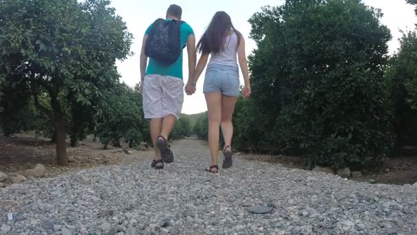 Paar Händchen haltend und im tropischen Park spazierend. Ein junger Mann und eine junge Frau spazieren durch eine exotische Parklandschaft und betrachten einen Baum. Sommerferienreisekonzept. Rückansicht — Stockvideo