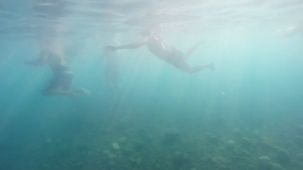 夏休み中に海または海を泳ぐ人たちのグループです。水中映像。スローモーション — ストック動画