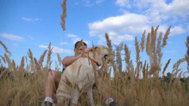 Genç adam çayır, yeşil çimenlerin üzerinde oturan ve köpeğini okşuyordu. Erkek sahibi ile birlikte onun labrador veya doğa adlı golden retriever vakit. Yavaş hareket kapatmak