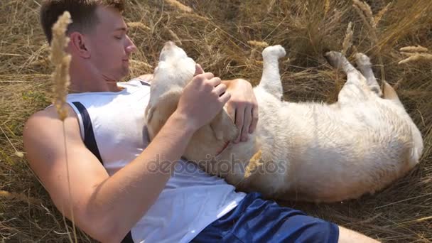 若者は、草原に横たわっていると、彼のラブラドールを caressing します。男性の所有者が自然でゴールデン ・ リトリーバーで遊んで。愛と友情の家畜。スローモーションを閉じる — ストック動画