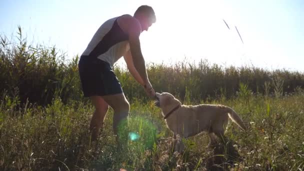 Muž majitel hraje s jeho Labradorský nebo zlatý retrívr se snaží mít svou holí od něj. Mladý muž si s jeho domácí zvíře venkovní v přírodě. Zpomalený pohyb — Stock video