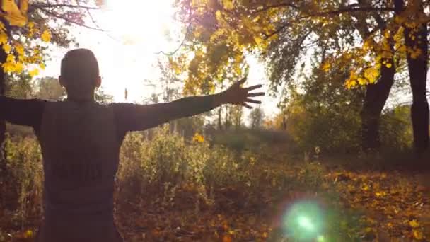 青年男子站在秋天的森林和举手。黄色和褐色的叶子落下。享受美丽的秋天风景的人。关闭慢动作后向后视图 — 图库视频影像