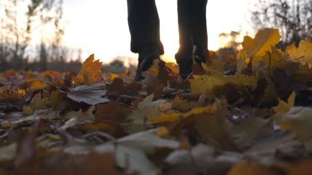 年轻人在秋季公园里慢跑, 踩干树叶。在秋天的景色中奔跑的人。美丽的自然背景。关闭慢动作 — 图库视频影像