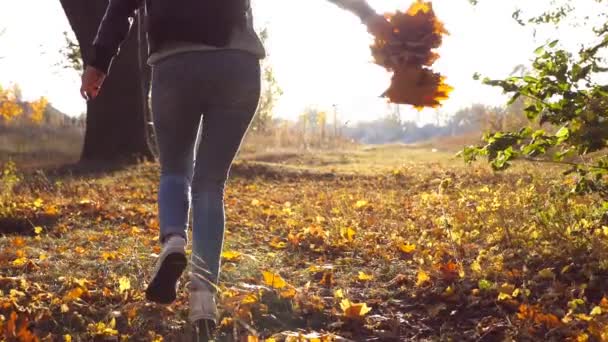 Mladá žena procházející podzimní park s kyticí žlutých maple listy v ruce. Dívka se baví v krásné barevné podzimní les s spadané listí. Sluneční svit v pozadí. Zpomalený pohyb — Stock video