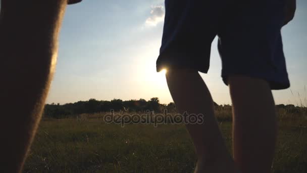 Padre e hijo caminando en el campo al atardecer y tomados de la mano. Feliz familia pasando tiempo juntos al aire libre. Estilo de vida activo. Vista trasera trasera en cámara lenta — Vídeo de stock