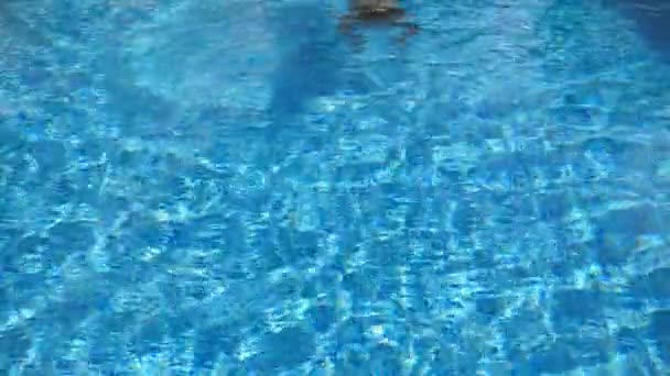 La mujer nada bajo el agua y emerge en la superficie. Joven hermosa chica nadando en la piscina. Vacaciones de verano o concepto de vacaciones. Movimiento lento — Vídeos de Stock