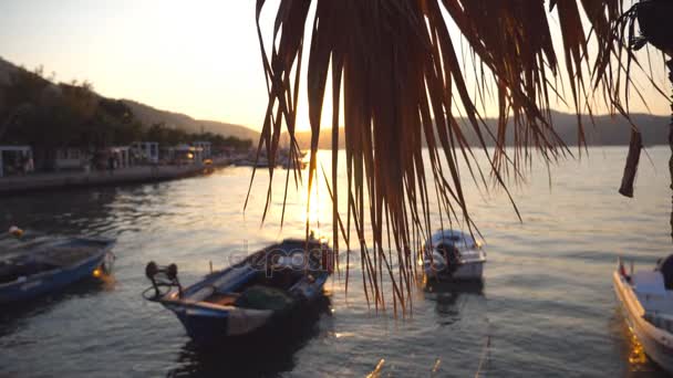 Picturesque scene of fishing boats standing near seashore at sunset. Sun shining through palm leaves. Nature background. Beautiful landscape. Slow motion — Stock Video