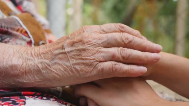 Vieilles mains ridées et jeunes femmes se réconfortant et se caressant en plein air. Petite-fille et grand-mère passent du temps ensemble dehors. Concept bienveillant et aimant. Fermer Vue latérale Mouvement lent — Video