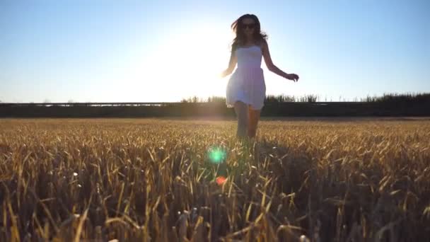 Junges schönes Mädchen, das am Weizenfeld entlang läuft, mit Sonnenfackeln im Hintergrund. Kaukasische Frau joggt auf der schönen Wiese in die Kamera. Zeitlupe von vorn aus nächster Nähe — Stockvideo