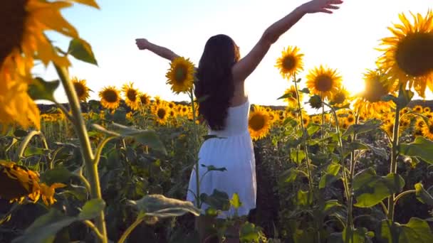 Jong meisje dat op het veld van zonnebloemen staat en haar handen omhoog steekt. Vrouw genieten van landschap en vrijheid op de weide. Achteraanzicht Slow motion Close up — Stockvideo