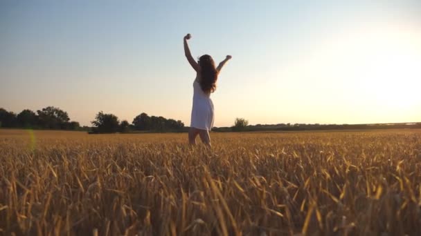 K nepoznání krásná dívka procházky podél pšeničné pole a spráskla ruce. Mladá žena se na louce a užívat si svobody. Letní rekreační charakter koncept. Boční pohled zblízka zpomalené — Stock video
