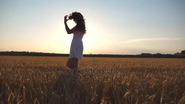 美しい女の子は日没時に青空の下で小麦畑に沿って歩いている。牧草地に行く若い女性。自然コンセプトで夏のレジャー。サイドビューを閉じるスローモーション — ストック動画