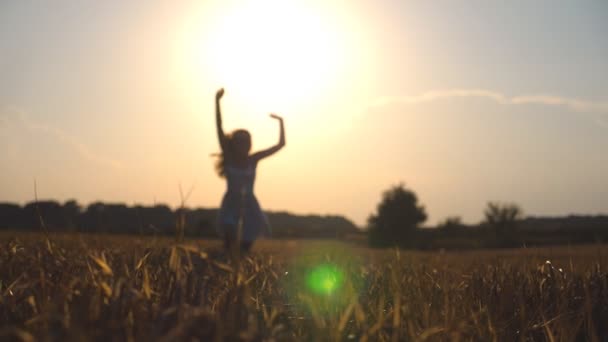 Bella ragazza sta correndo lungo il campo di grano al tramonto. Giovane donna che fa jogging sul prato e gode della libertà. Tempo libero estivo al concetto di natura. Chiudere rallentatore — Video Stock