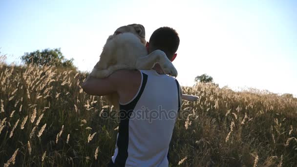 Joven llevando en las manos a su perro por campo. Jugando con labrador o golden retriever en la naturaleza. Amor y amistad con los animales domésticos. Primer plano: cámara lenta — Vídeos de Stock