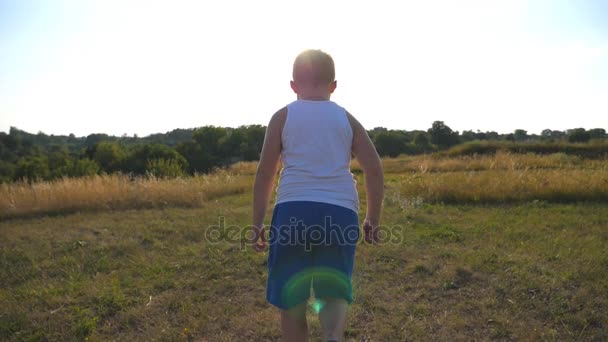 Following to young boy running on green grass at the field on sunny day. Child jogging at the lawn outdoor. Happy smiling male kid having fun in nature on a summer meadow. Slow motion Rear back view — ストック動画