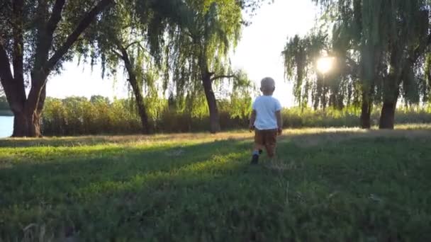 Kindje met blonde haren, wandelen in het park op een zonnige dag. Jonge kind gaande van groen gras in de zomer. Happy baby genieten van de natuur op de weide. Zonlicht op de achtergrond. Achterzijde terug bekijken Close up — Stockvideo