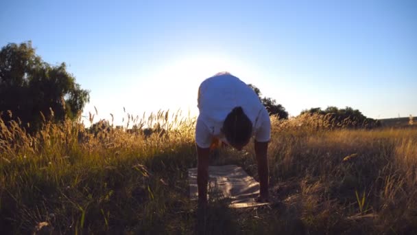 Joven practicando movimientos de yoga y posiciones en la alfombra en el prado. Hombre deportivo entrenando en el campo en un día soleado. Luz del sol en el fondo. Concepto de estilo de vida activo saludable. De cerca. — Vídeos de Stock