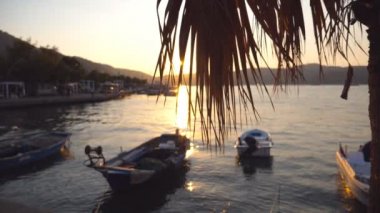 Gün batımında sahil duran balıkçı tekneleri pitoresk sahne. Palm ile parlayan güneş bırakır. Doğa arka plan. Güzel manzara. Ağır çekim