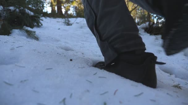 Stopy do poznania man walking na śniegu góry Las rano. Młody turysta wspinaczka na zaśnieżonym stoku w zimie. Zdrowy, aktywny tryb życia. Koncepcja podróży lub podróży. Widok z tyłu powrotem zwolnionym tempie — Wideo stockowe