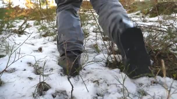 Piedi di uomo irriconoscibile che cammina sulla foresta di montagna di neve durante la giornata invernale. Giovane escursionista che sale su un pendio innevato. Stile di vita sano e attivo. Concetto di viaggio. Retrovisore Close up rallentatore — Video Stock